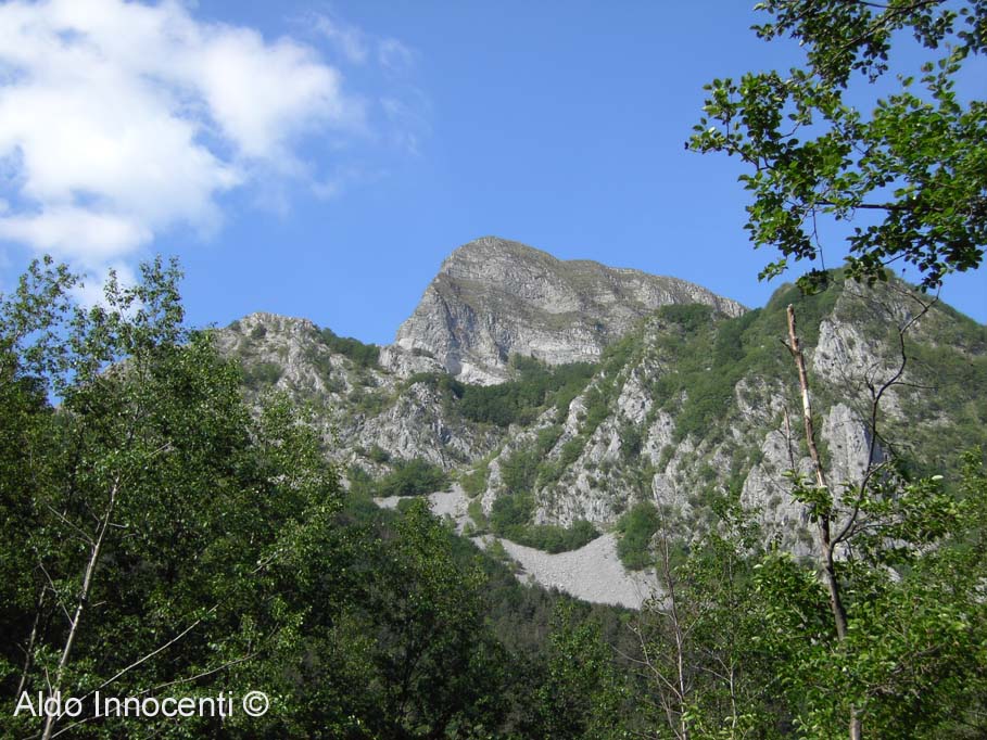 IL MONTE SAGRO DA VINCA